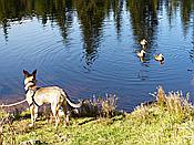 Foto SP_2016_10536: Wanderung / Mitterfirmiansreut - Hammerklause / 24.10.2016