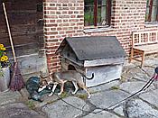 ID: 209: Freilichtmuseum / Finsterau / 26.10.2016