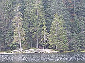 ID: 209: Rundgang Grosser Arbersee / Bayerisch Eisenstein / 26.10.2016