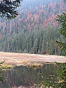 ID: 209: Rundgang Grosser Arbersee / Bayerisch Eisenstein / 26.10.2016