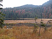 ID: 209: Rundgang Grosser Arbersee / Bayerisch Eisenstein / 26.10.2016