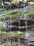 ID: 209: Rundgang Grosser Arbersee / Bayerisch Eisenstein / 26.10.2016