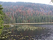 ID: 209: Rundgang Grosser Arbersee / Bayerisch Eisenstein / 26.10.2016