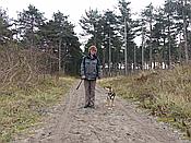 Foto SP_2016_12301: Wanderung / Nieuw-Haamstede / 09.12.2016