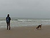 Foto SP_2016_12307: Wanderung / Nieuw-Haamstede / 09.12.2016