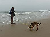 Foto SP_2016_12308: Wanderung / Nieuw-Haamstede / 09.12.2016