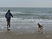 Foto SP_2016_12327: Wanderung / Nieuw-Haamstede / 09.12.2016