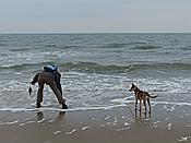 Foto SP_2016_12328: Wanderung / Nieuw-Haamstede / 09.12.2016