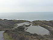 Foto SP_2016_12329: Wanderung / Nieuw-Haamstede / 09.12.2016
