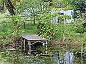 ID: 209: Wanderung / Schneverdingen / 13.05.2017