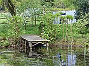 Foto SP_2017_05301: Wanderung / Schneverdingen / 13.05.2017