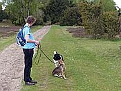 ID: 209: Wanderung / Schneverdingen / 13.05.2017