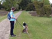 Foto SP_2017_05311: Wanderung / Schneverdingen / 13.05.2017