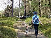 Foto SP_2017_05314: Wanderung / Schneverdingen / 13.05.2017