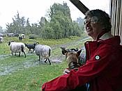 ID: 209: Wanderung / Schneverdingen / 13.05.2017