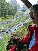 Foto SP_2017_05330: Wanderung / Schneverdingen / 13.05.2017