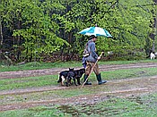 Foto SP_2017_05336: Wanderung / Schneverdingen / 13.05.2017