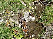 Foto SP_2017_05535: Wanderung / Garmisch-Mittenwald / 22.05.2017