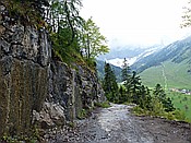 ID: 209: Wanderung / Eng Alm - Binsalm / 24.05.2017