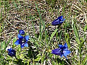 ID: 209: Wanderung / Lautersee - Ederkanzel / 26.05.2017