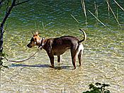 ID: 209: Wanderung / Lautersee - Ederkanzel / 26.05.2017