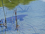 ID: 209: Wanderung / Lautersee - Ederkanzel / 26.05.2017
