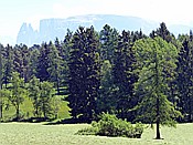 Foto SP_2017_05630: Wanderung / Oberinn - Oberbozen - Oberinn / 28.05.2017