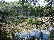 Foto SP_2017_05651: Wanderung / Wolfsgruben / 29.05.2017