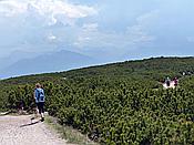 Foto SP_2017_05661: Wanderung / Ritten - Oberinn / 30.05.2017