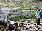 Foto SP_2017_05669: Wanderung / Ritten - Oberinn / 30.05.2017