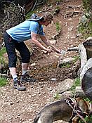 Foto SP_2017_05679: Wanderung / Ritten - Oberinn / 30.05.2017