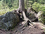ID: 209: Rundfahrt / Karer See - Sellajoch / 31.05.2017