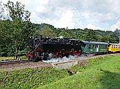 Foto SP_2017_07370: DR 99 1734-5 / Seifersdorf / 15.07.2017