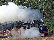 Foto SP_2017_07537: DR 539 + DR 99 555 / Kipsdorf / 15.07.2017