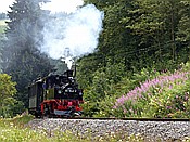 Foto SP_2017_07738: DR 99 1542-2 / Steinbach / 16.07.2017