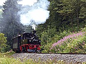 Foto SP_2017_07741: DR 99 1542-2 / Steinbach / 16.07.2017