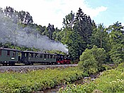 Foto SP_2017_07761: DR 99 1542-2 / Steinbach / 16.07.2017