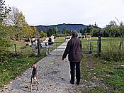 ID: 209: Wanderung / Kruen - Wallgau  / 04.10.2017