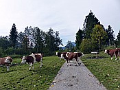 ID: 209: Wanderung / Kruen - Wallgau  / 04.10.2017