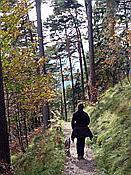 ID: 209: Wanderung / Kruen - Wallgau  / 04.10.2017