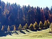 ID: 209: Wanderung / Elmau - Mittenwald / 05.10.2017