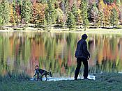 ID: 209: Wanderung / Elmau - Mittenwald / 05.10.2017