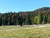 ID: 209: Wanderung / Elmau - Mittenwald / 05.10.2017