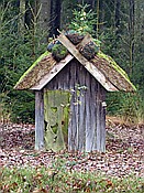 ID: 209: Wanderung / Schneverdingen / 03.11.2017