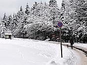 ID: 209: Rundgang / Mitterfirmiansreut / 03.12.2017