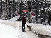 ID: 209: Rundgang / Mitterfirmiansreut / 03.12.2017