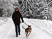 ID: 209: Rundgang / Mitterfirmiansreut / 03.12.2017