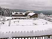 ID: 209: Rundgang / Mitterfirmiansreut / 03.12.2017