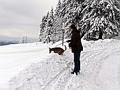 ID: 209: Rundgang / Mitterfirmiansreut / 03.12.2017