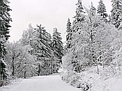 ID: 209: Rundgang / Mitterfirmiansreut / 03.12.2017